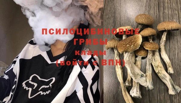 2c-b Бугульма
